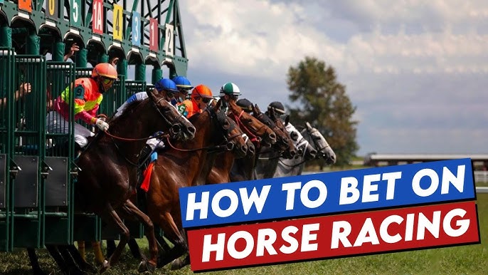 Horse Racing Betting Guide