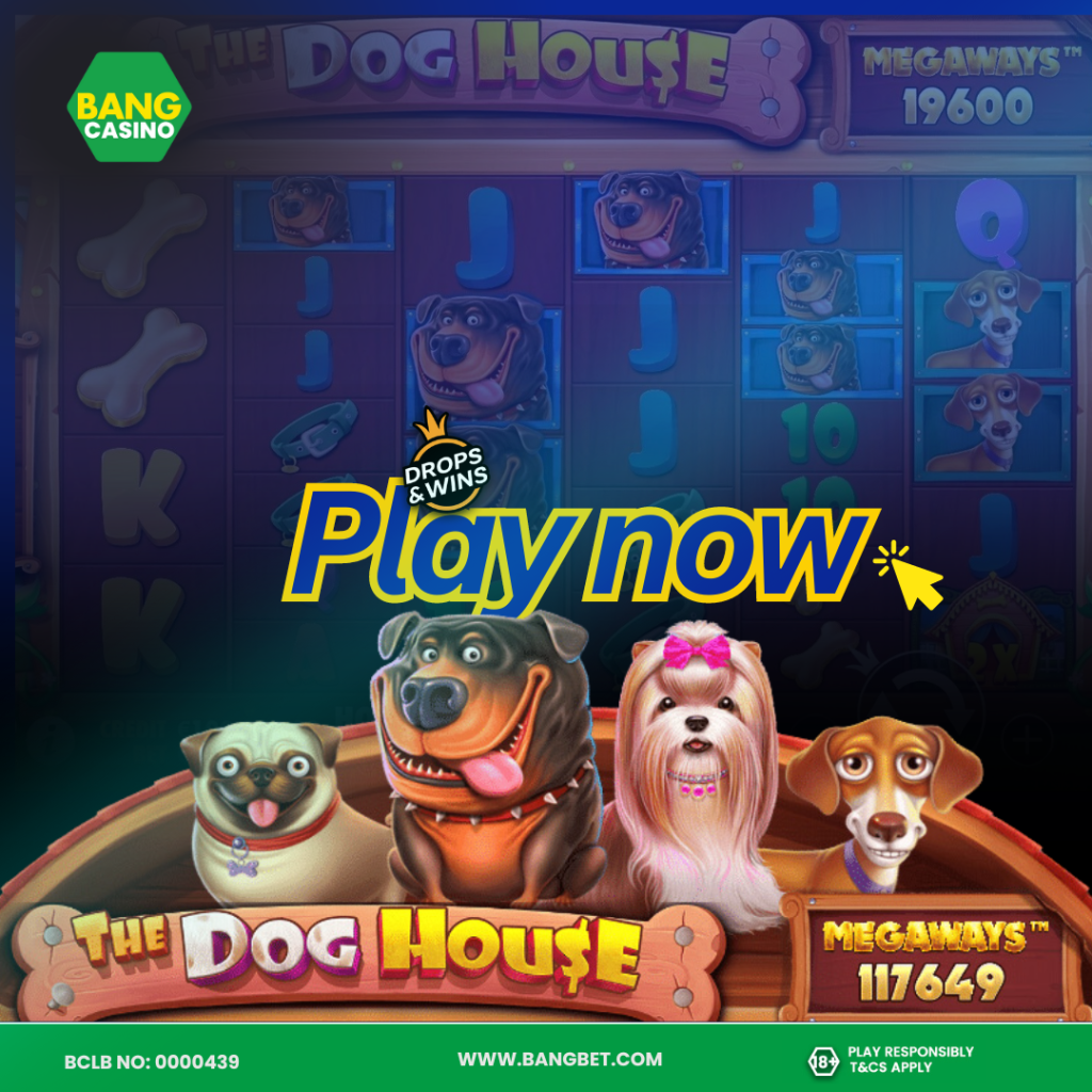 Online Slot Games to Play on Bangcasino